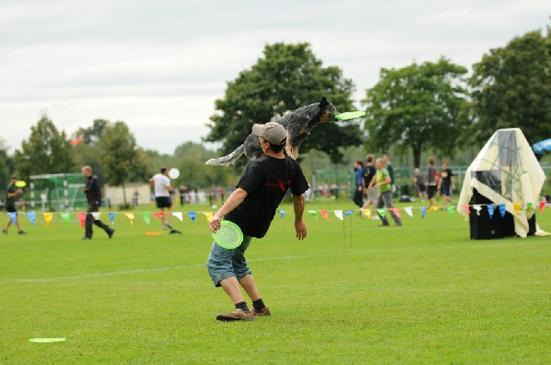 Image 648 of 855  -  216 kB