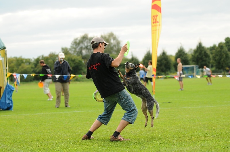 Image 650 of 855  -  204 kB