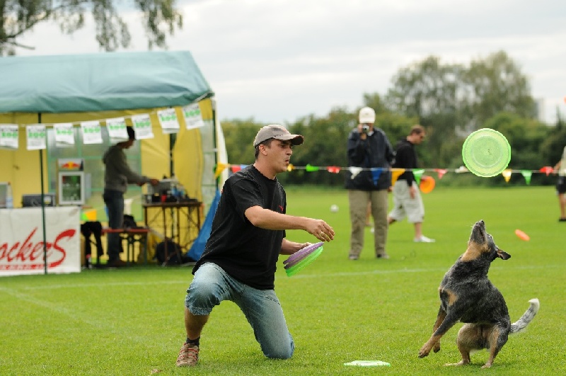 Image 651 of 855  -  213 kB