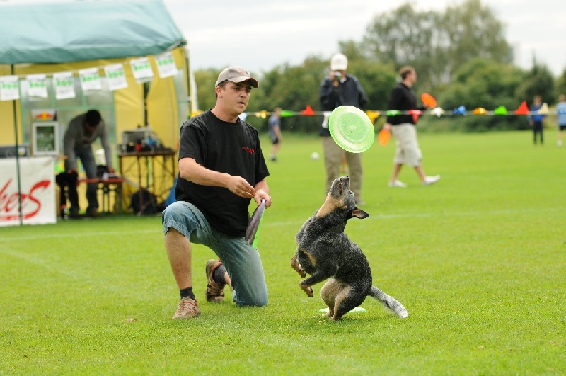 Image 652 of 855  -  221 kB