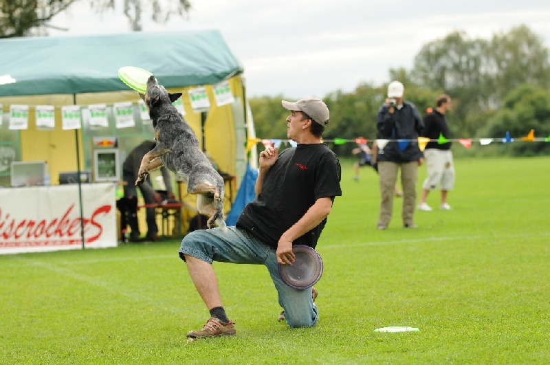 Image 653 of 855  -  216 kB