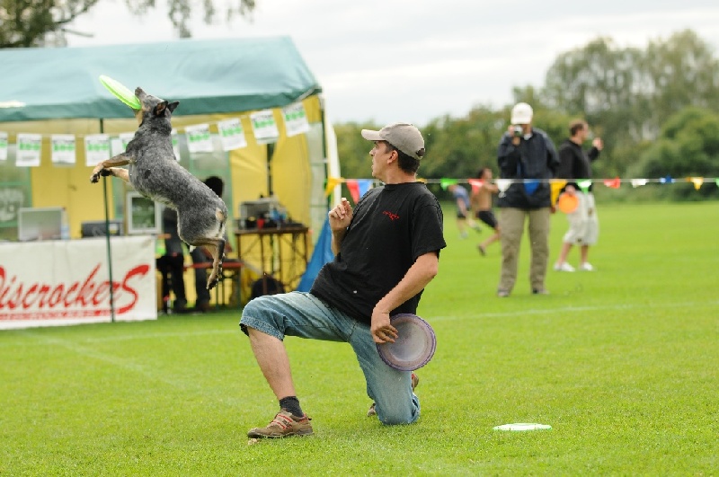 Image 654 of 855  -  217 kB