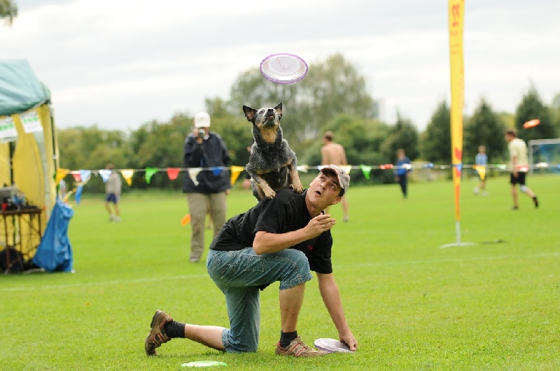 Image 655 of 855  -  198 kB