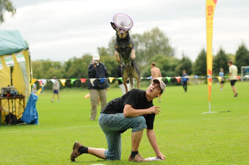 Image 656 of 855  -  203 kB