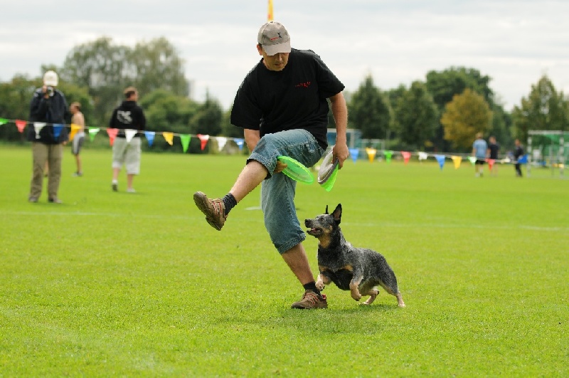 Image 657 of 855  -  217 kB