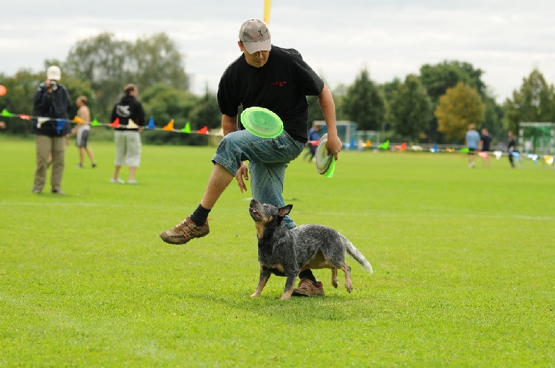 Image 658 of 855  -  220 kB