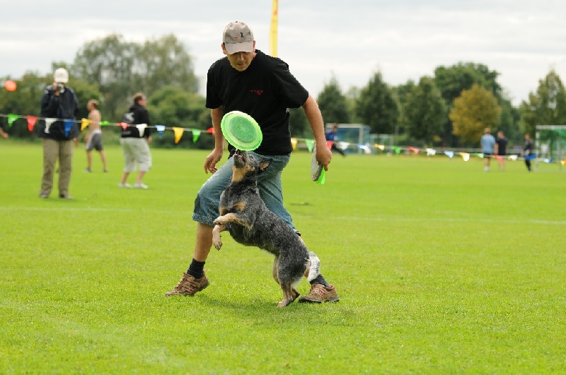 Image 659 of 855  -  220 kB