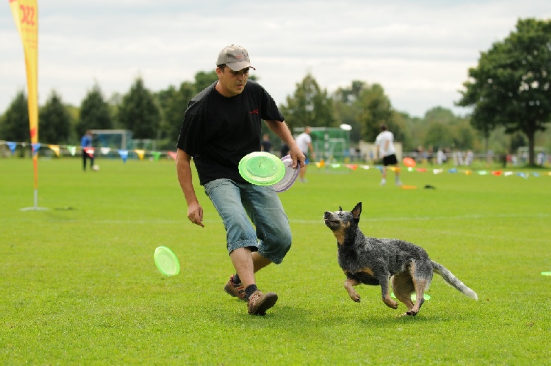 Image 660 of 855  -  215 kB