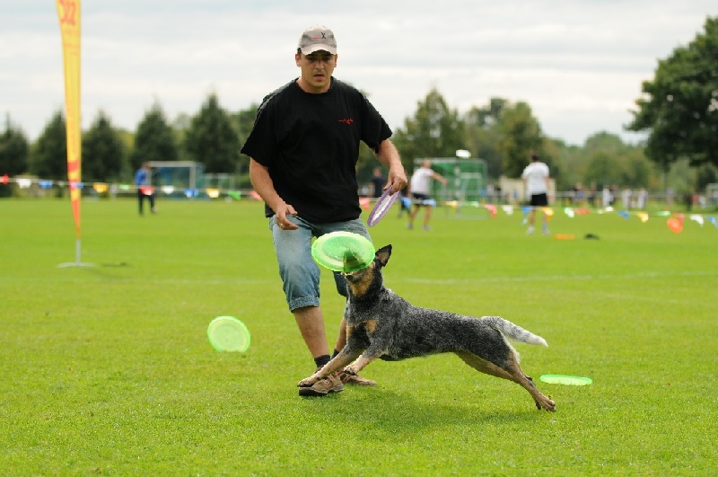 Image 661 of 855  -  212 kB