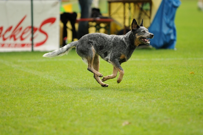 Image 662 of 855  -  198 kB