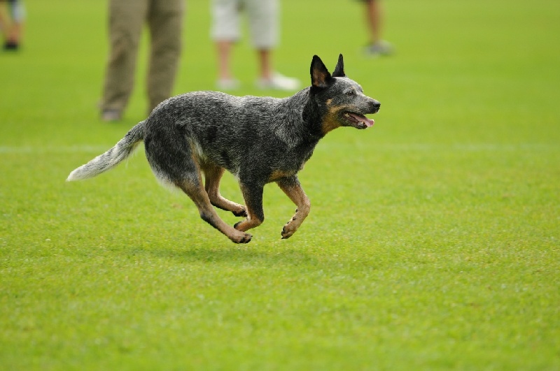 Image 663 of 855  -  181 kB