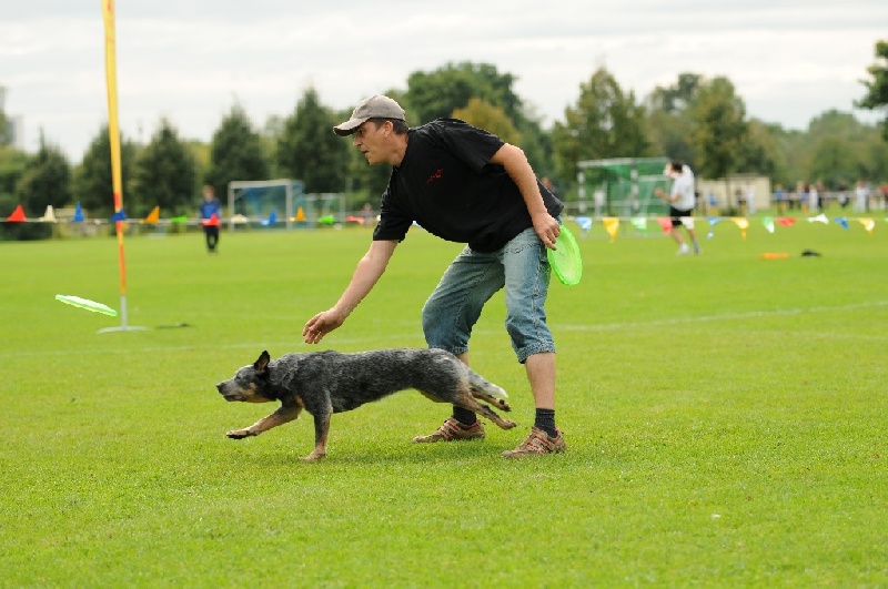 Image 664 of 855  -  217 kB