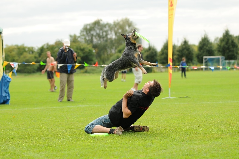 Image 665 of 855  -  208 kB