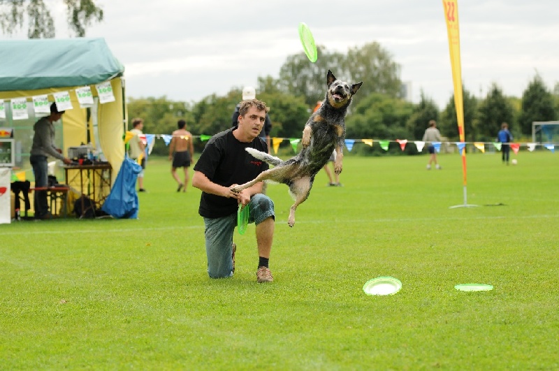 Image 668 of 855  -  225 kB