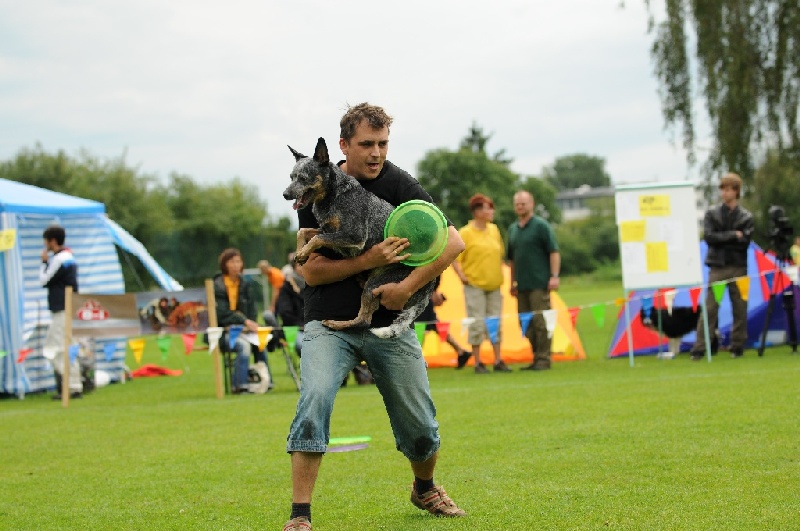 Image 669 of 855  -  212 kB