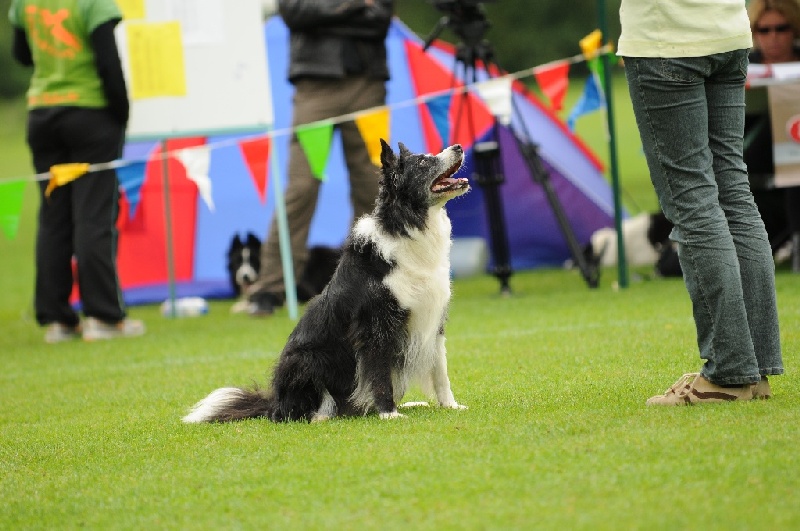 Image 670 of 855  -  215 kB