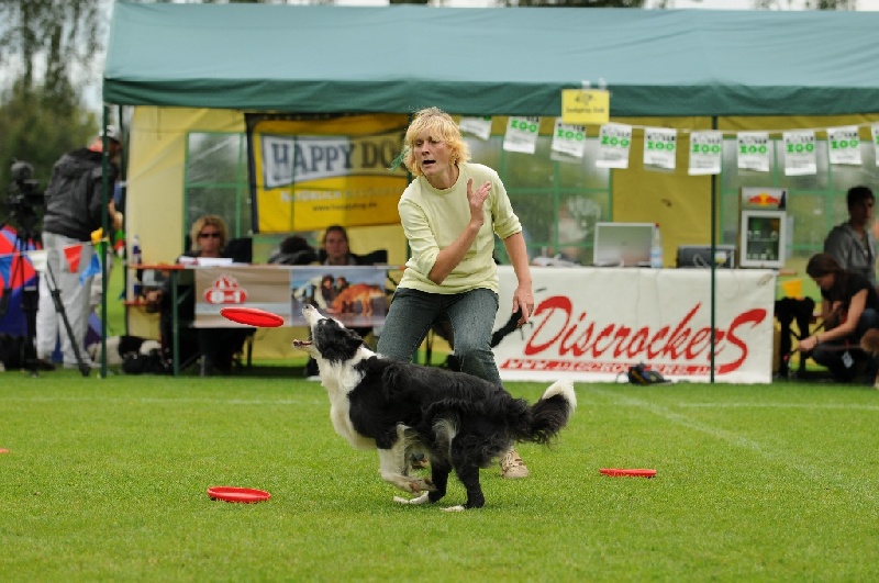 Image 672 of 855  -  235 kB