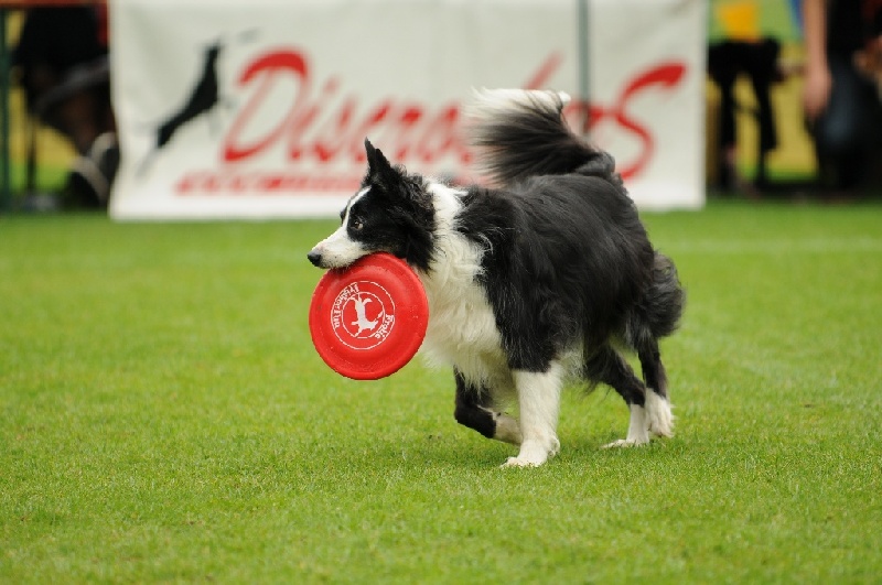 Image 673 of 855  -  204 kB