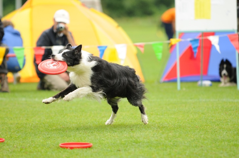 Image 674 of 855  -  192 kB