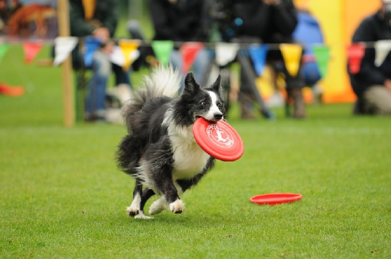 Image 675 of 855  -  202 kB