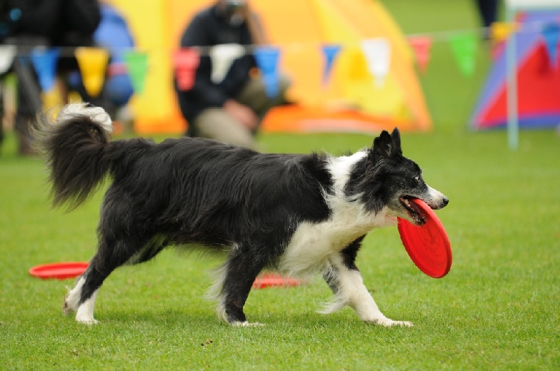 Image 676 of 855  -  206 kB