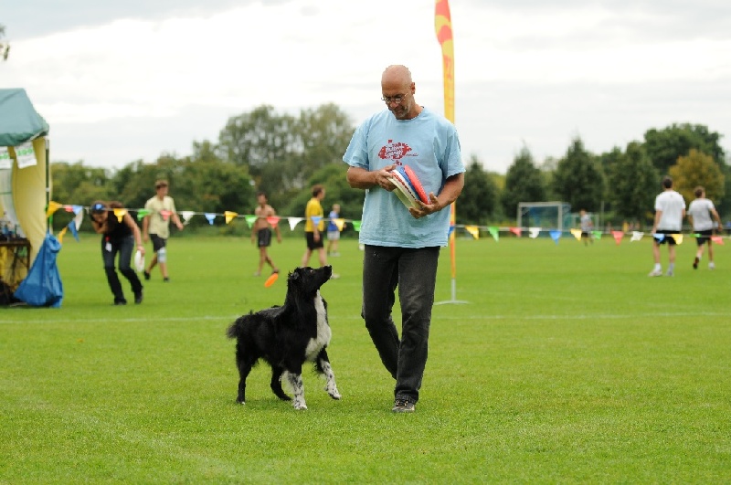 Image 677 of 855  -  211 kB