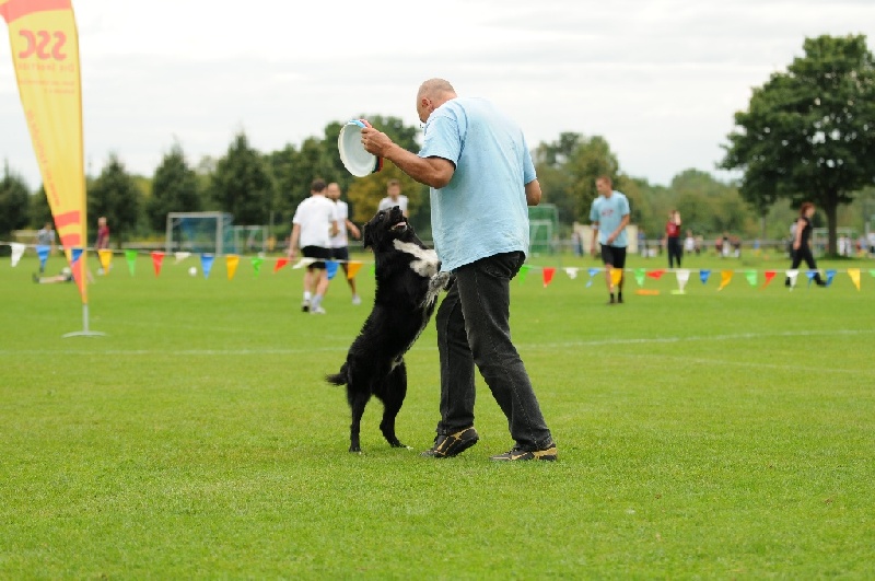 Image 678 of 855  -  218 kB