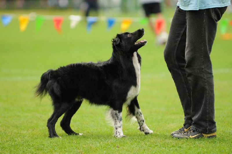 Image 679 of 855  -  200 kB