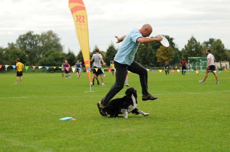 Image 680 of 855  -  217 kB