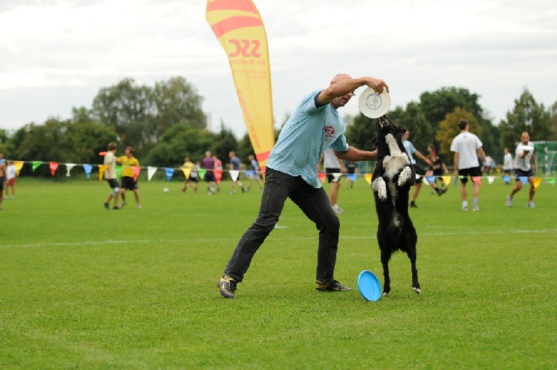 Image 681 of 855  -  218 kB