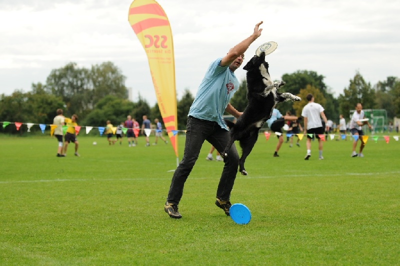 Image 682 of 855  -  215 kB