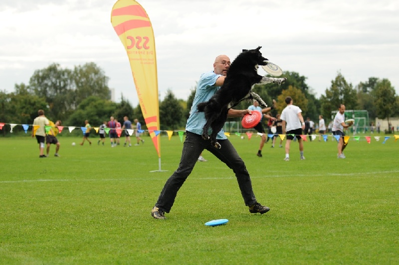 Image 683 of 855  -  217 kB