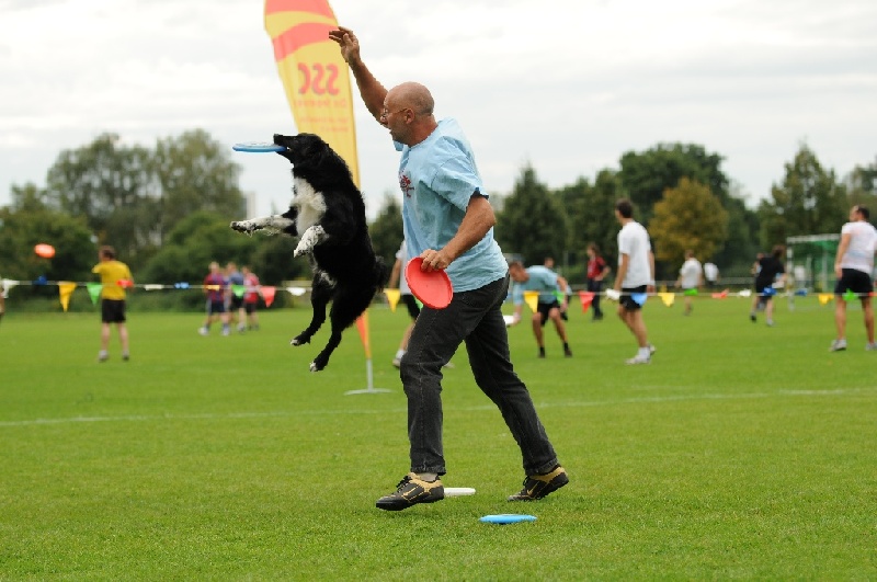 Image 684 of 855  -  208 kB