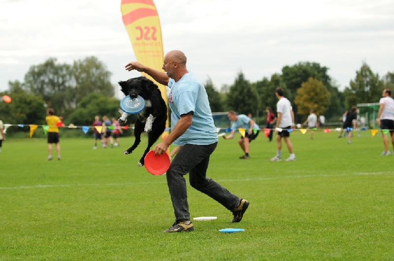 Image 685 of 855  -  209 kB