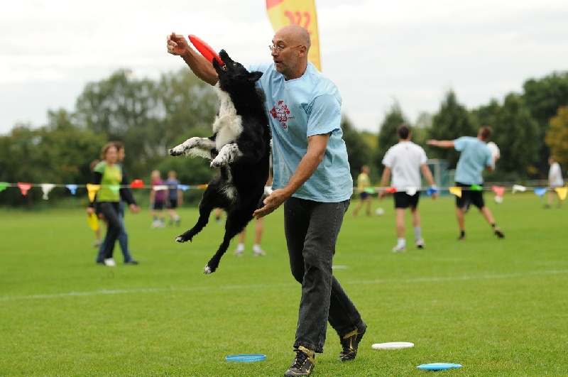 Image 686 of 855  -  199 kB