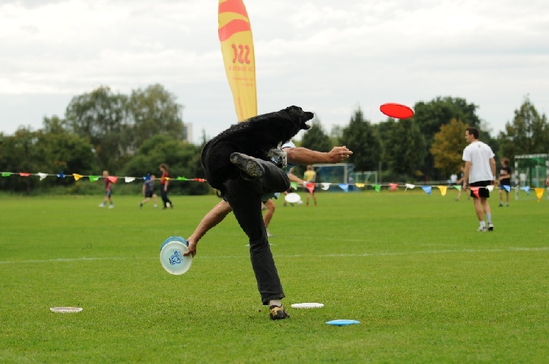 Image 689 of 855  -  203 kB