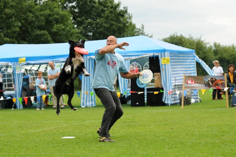 Image 690 of 855  -  248 kB