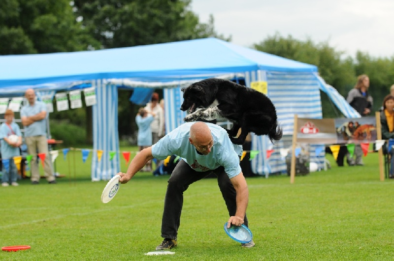 Image 691 of 855  -  214 kB