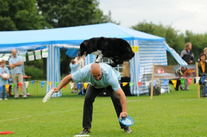 Image 692 of 855  -  208 kB