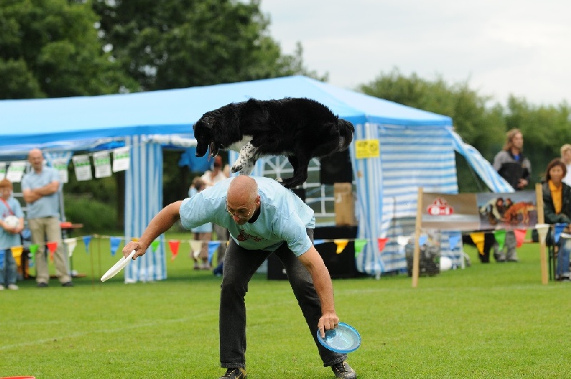 Image 693 of 855  -  212 kB