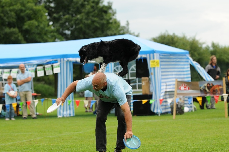 Image 694 of 855  -  207 kB