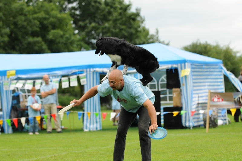 Image 695 of 855  -  201 kB