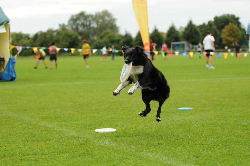 Image 697 of 855  -  212 kB