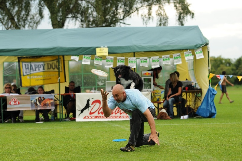 Image 698 of 855  -  240 kB