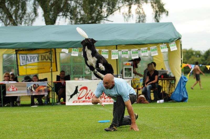 Image 699 of 855  -  238 kB