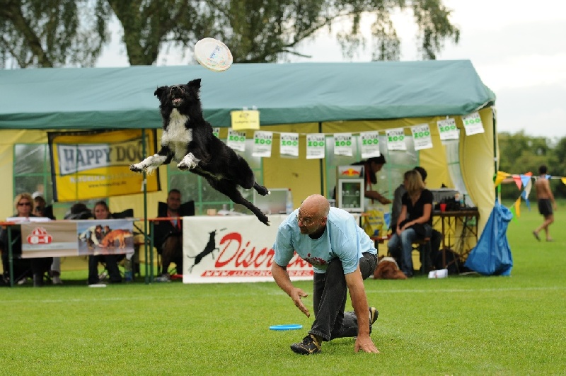 Image 700 of 855  -  239 kB