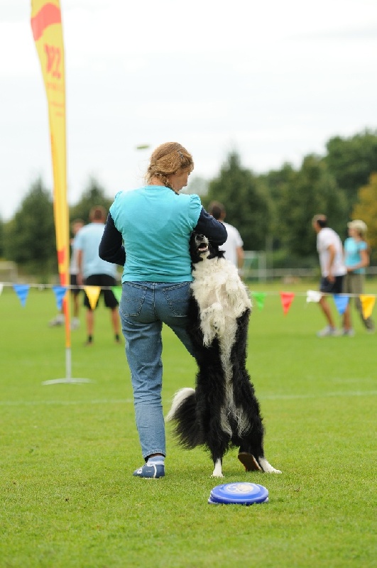 Image 702 of 855  -  190 kB