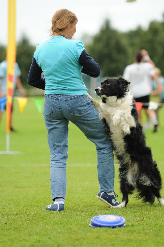 Image 703 of 855  -  216 kB