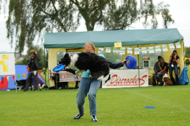 Image 704 of 855  -  234 kB