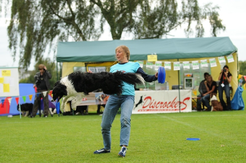 Image 705 of 855  -  235 kB